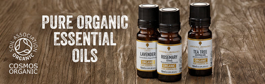 Essential Oils Bundle
