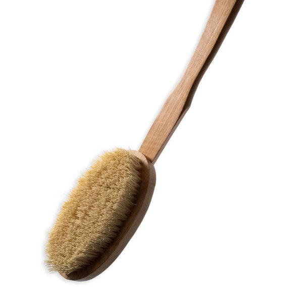 Doc of Detox Dry Skin Brush