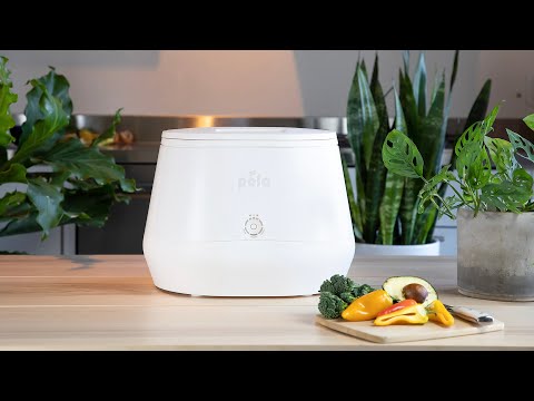 Lomi Food Waste Composter
