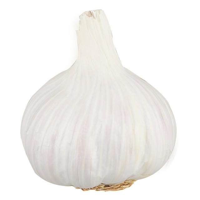 Garlic (ES) - Each (Org)
