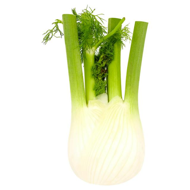 Fennel - Each (Org)