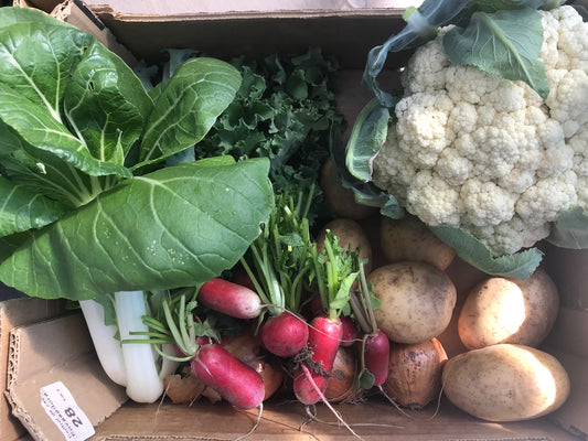 Regular Veg Box (Org)