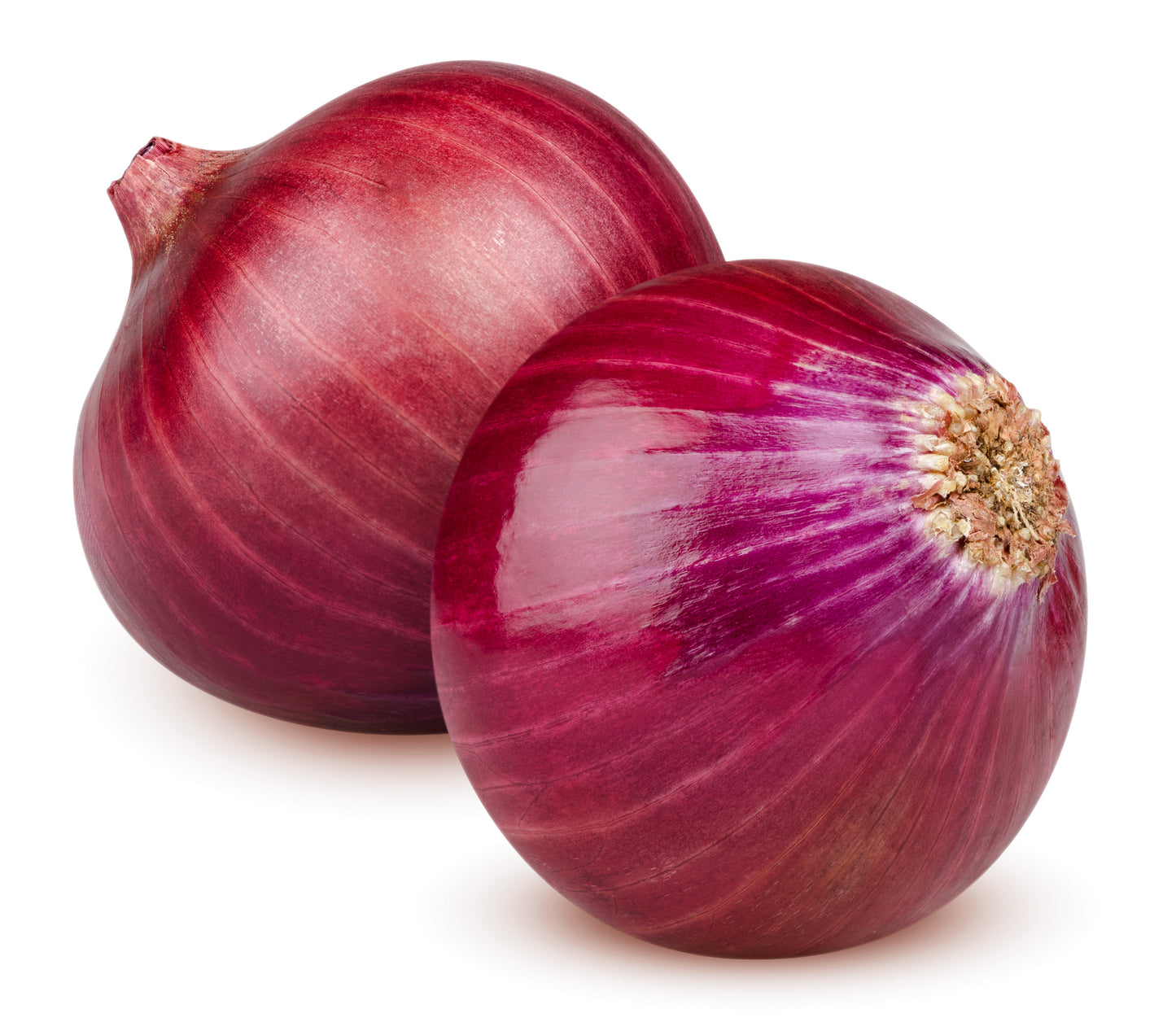 Red Onion - (NL) - 500G (Express)
