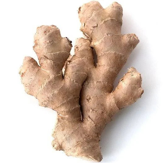 Ginger (PE) - Each (Org)