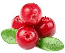 Cranberries (NL) - 200G (Org)