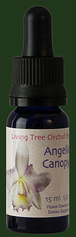 Healing Orchids Single Essences - 15ML Oral Drops