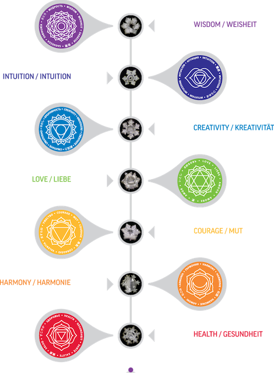 Chakra Affirmation Glasses - Set of 7