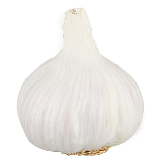 Garlic (ES) - Each