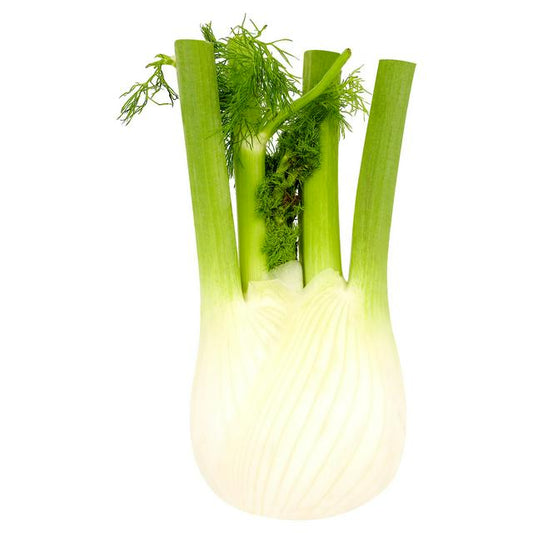 Fennel - Each (Org)