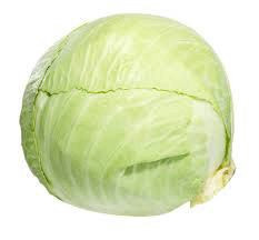 Cabbage White (SC) - Each