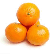 Oranges Valencias (ES) - Each